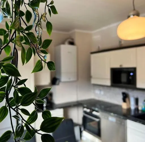 Apartman Gemuetliches Reihenhaus Mit Terrasse Magdeburg